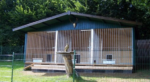 Dreifach Hundezwinger Modell Oslo 3x3x2m mit Spitzdach, Schutzräumen, Hundehütten und Rohrstabtrennwänden.