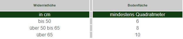 Mindestgrößen für Hundezwinger nach Tierschutzhundeverordnung: bis 50 cm = 6 m², bis 65 cm = 8 m², über 65 cm = 10 m².