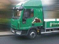 Grüner Holve-LKW für die Lieferung von Hundezwingern
