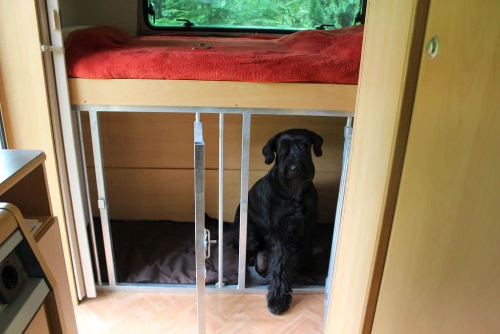 Abtrennungsgitter für Hunde im Wohnmobil – sichere Hundebox Lösung