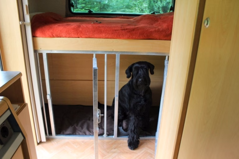 Maßgefertigtes Trenngitter für Wohnmobil oder Wohnwagen – individuelle Sonderanfertigung für Hundetransport.