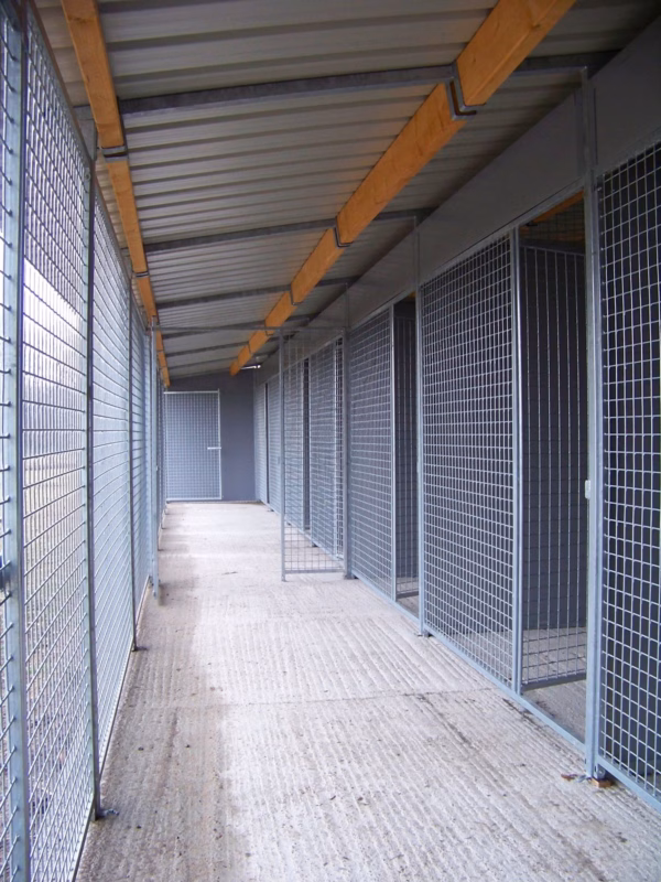 Große Hundezwingeranlage aus Gittergewebeelementen 50×50×4 mm