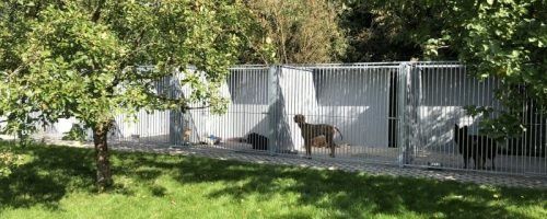 Kunststoff-Reihenzwingeranlage mit 7 Schutzräumen, Ausläufen und isolierten Hundehütten